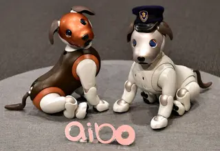 Sony introduz sistema de reconhecimento facial no Aibo, o cão robótico doméstico