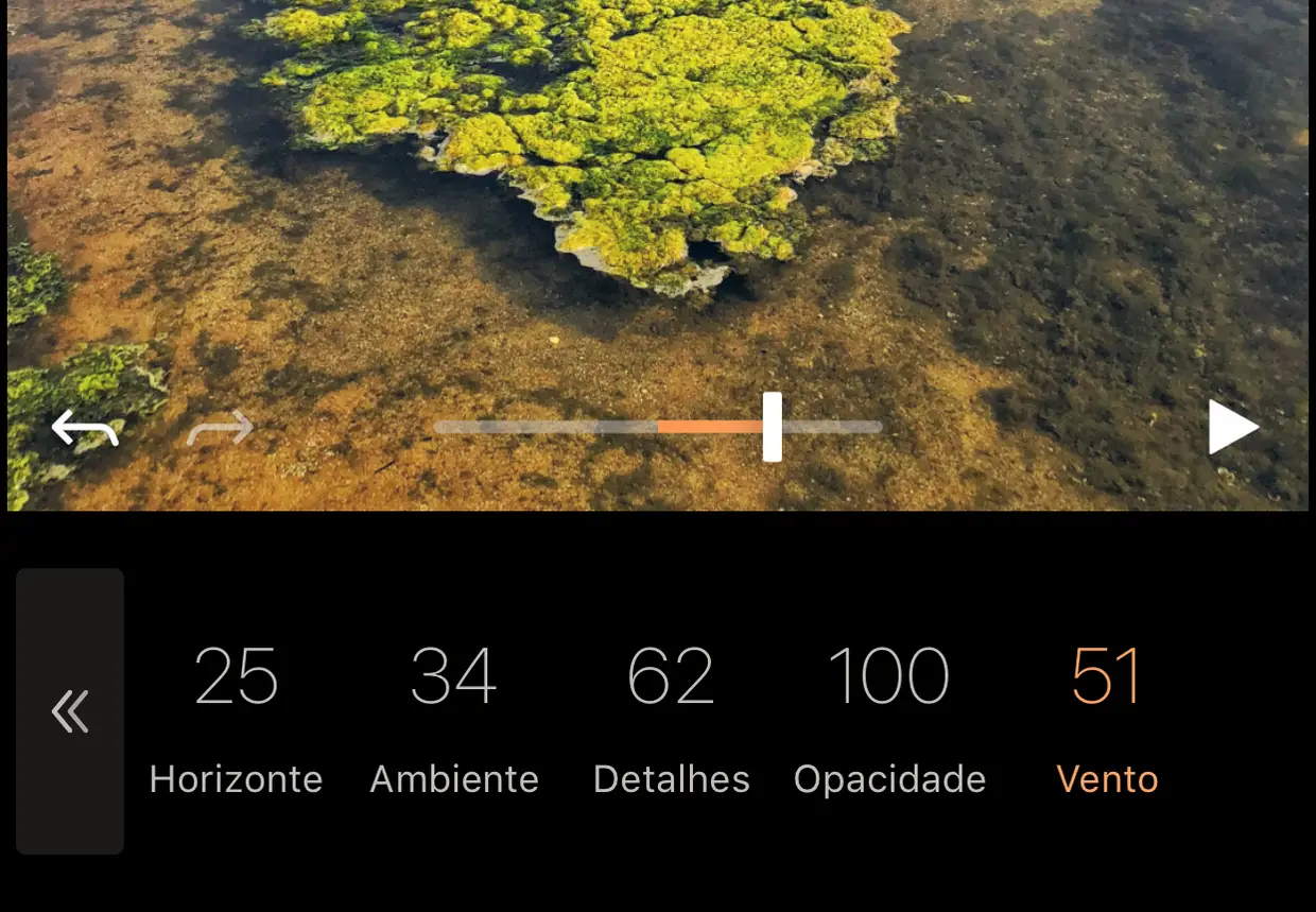 Nas definições de Vento, escolha um valor. Clique no botão de Play para verificar o efeito. Se quiser aplicar efeitos específicos a outras áreas, volte para trás e clique em Animar > Caminho para aplicar os efeitos. Para impedir que determinada área da imagem se mexa, utilize o ícone Proteger e “pinte” a área que não quer que se mexa.
