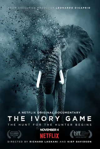 O documentário produzido por Di Caprio, "The Ivory Game", um sério candidato ao Óscar de Melhor Documentário