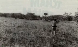 Em Moçambique, nas margens do Zambeze, na década de 60 do século XX: António Champalimaud obteve a concessão de uma reserva de caça com 90 mil hectares