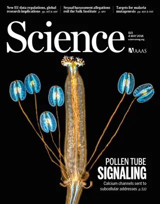 Capa da revista "Science": imagem de microscopia de fluorescência de uma flor de Arabidopsis, uma pequena planta herbácea usada na investigação da equipa de cientistas portugueses