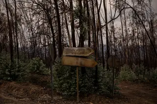 Associação de vítimas de Pedrógão recorre à Anacom para resolver falhas de comunicações