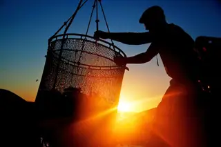 Portugal é o principal consumidor europeu de peixe. Cada português come em média 55,3 kg de pescado por ano, seguido de Espanha (46,2 kg), Lituânia (44,7 kg), França (34,4 kg) e Suécia (33,2 kg). Em média, cada cidadão europeu consome 22,7 kg por ano