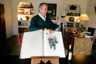 João Portugal Ramos, retrato de um enólogo