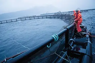 EllaLink. O cabo submarino que vai ligar Portugal à América do Sul sem passar pelos EUA