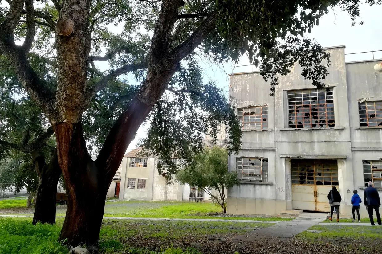 Ainda há sobreiros nos espaços entre os vários pavilhões, onde o ar de abandono é indisfarçável
