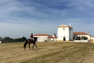 Depois da Coudelaria de Alter, a Vila Galé quer recuperar um convento em Portalegre