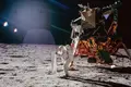 Lua: Exposições e programas para celebrar a Apollo 11
