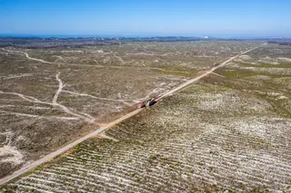 Incêndio no Pinhal de Leiria fica sem culpados