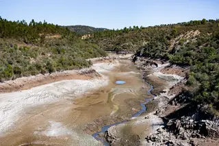 Seca e má gestão esvaziam o Tejo