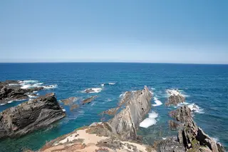 Aquecimento do mar altera espécies nas águas portuguesas