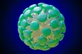 O coronavírus é uma pandemia?