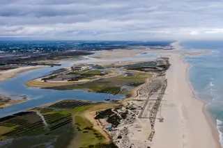 Ria Formosa. Ilhas barreira podem desaparecer em 30 anos