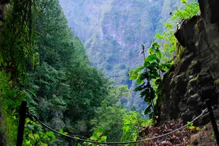 O futuro dos sistemas de captura de carbono