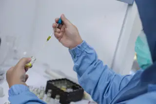 São especialistas a descobrir e fabricar anticorpos (COVID-19 incluída): os portugueses que acabam de reforçar a liderança mundial