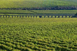 “Depois de 45 dias de confinamento, há vinhos maravilhosos para descobrir”: Vinho Verde aposta tudo no ataque ao desconfinamento
