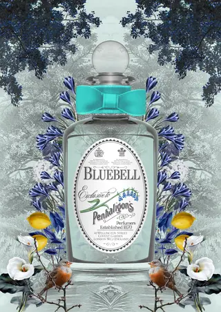 O Bluebell (€128,40/100ml) era o perfume favorito da Princesa Diana e é criado em 1978, na época em que o realizador italiano Franco Zeffirelli investe na Penhaligon’s