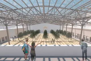 “Proposta de alteração do mercado em Viseu é uma barbaridade”, diz ao Expresso Álvaro Siza