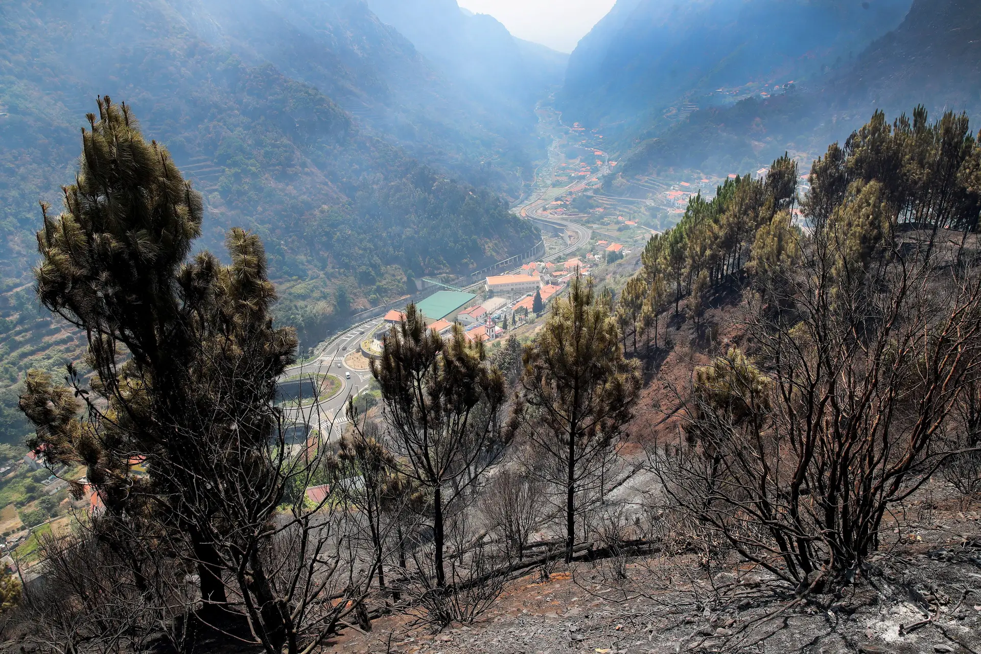 Incêndio na Madeira fogo continua no Curral das Freiras Serra de Água