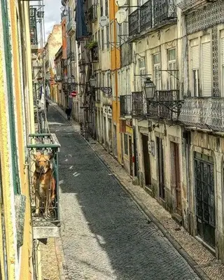 A rua onde Henri Castelli se encontra instalado
