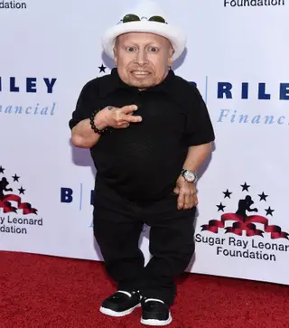 Verne Troyer