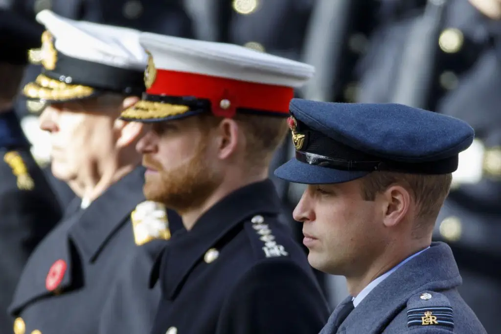 William e Harry