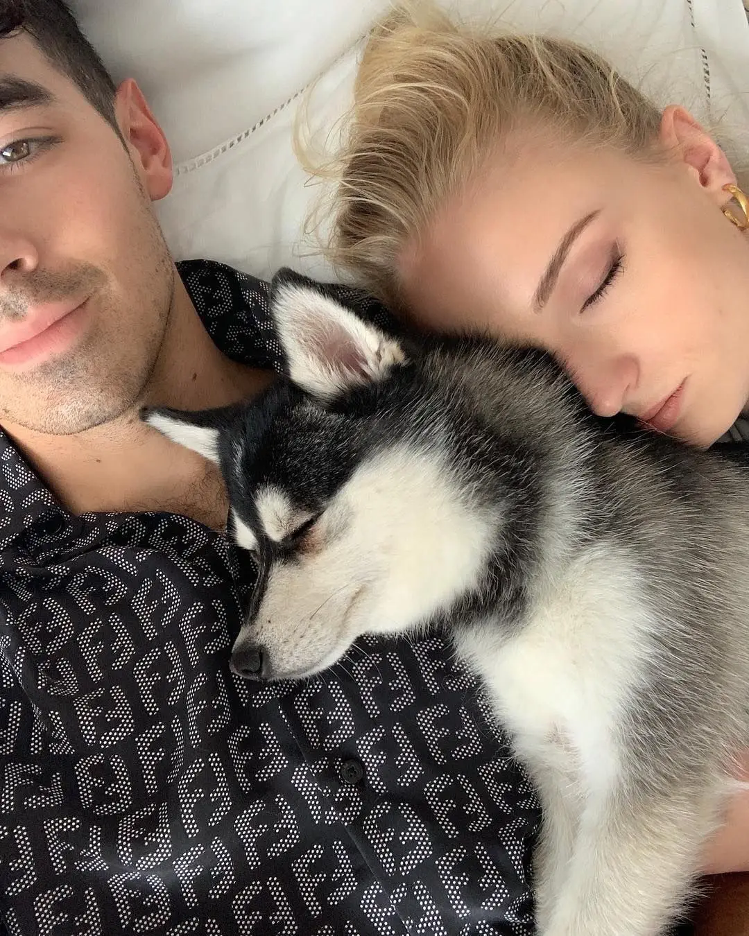Joe Jonas e Sophie Turner