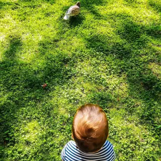 O filho de Ana Markl e Luís Leal Miranda