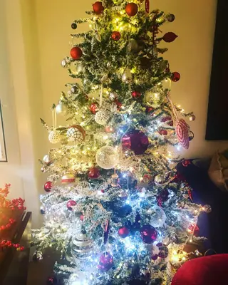 A árvore de Natal de Júlia Pinheiro