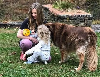 Amanda Seyfried foi mãe pela segunda vez. A atriz deu as boas-vindas a um menino