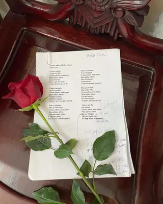 Presente de Marco Paulo para Ana Marques, uma rosa e a letra de um dos seus novos temas