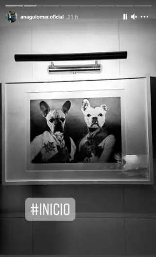 O quadro na nova casa