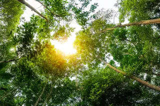 Transição energética sem comprometer a Natureza