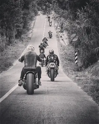 Picture by Tomás Sá-Chaves - pirate_way