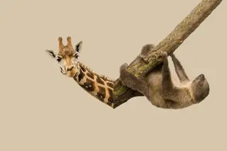 Shutterstock (2)