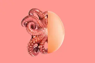 Tatiana Ayazo/Rd.com, Shutterstock