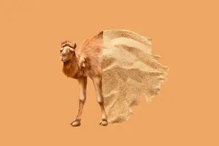 Tatiana Ayazo/Rd.com, Shutterstock