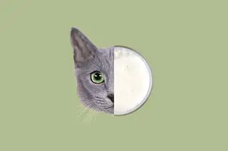Shutterstock (2)
