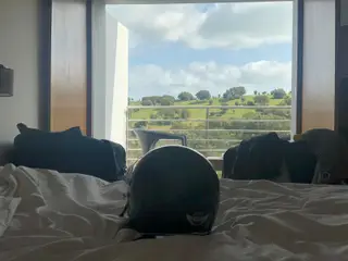 A minha janela para o campo