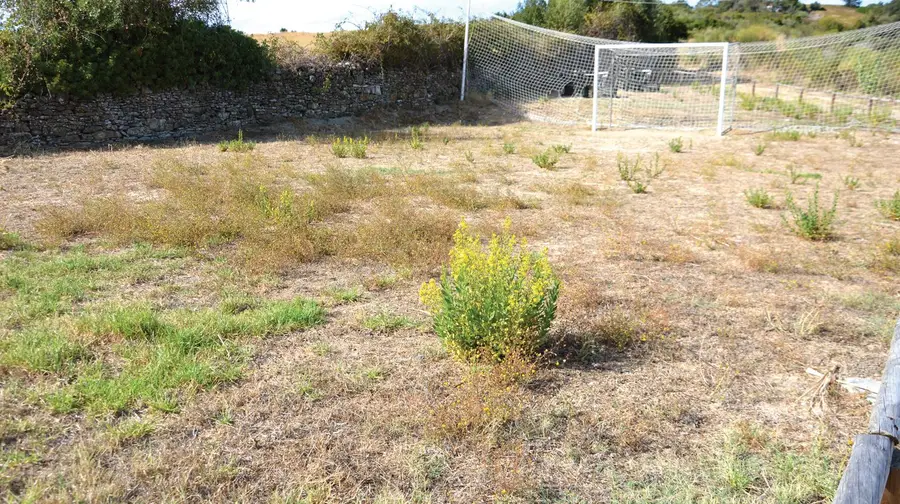 Campo de...pousio? Campo de...pousio?