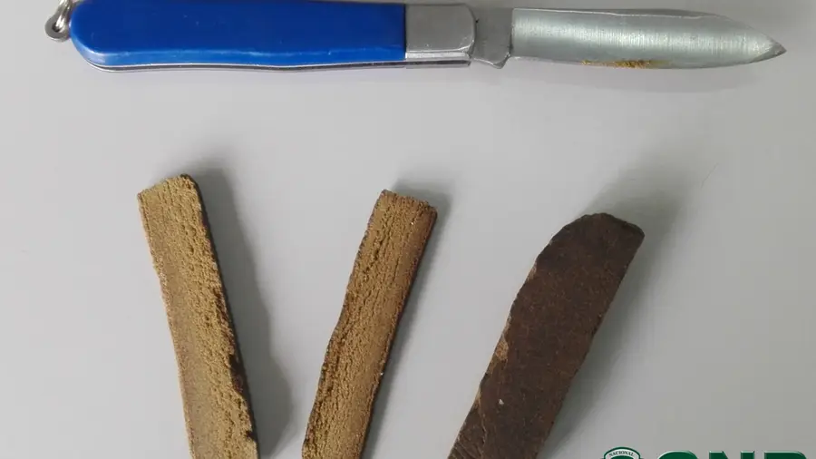 Detido por tráfico de droga em Rio Maior Detido por tráfico de droga em Rio Maior