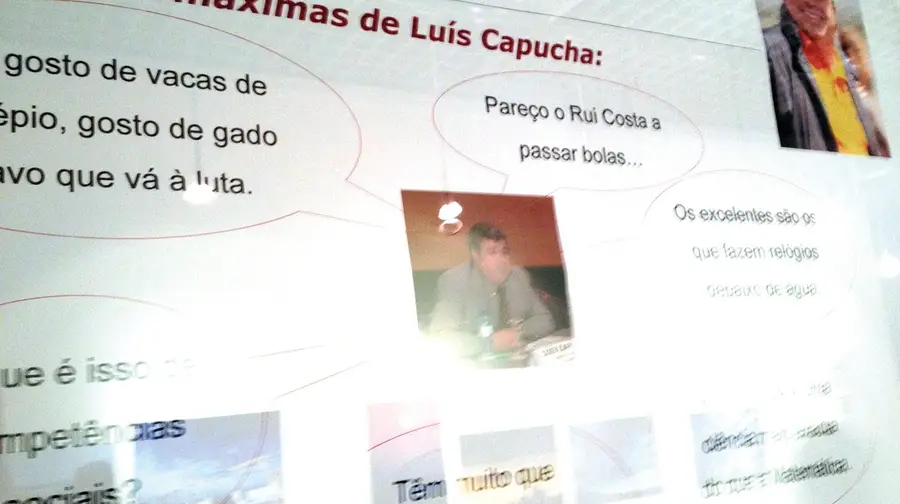 Patologias Patologias