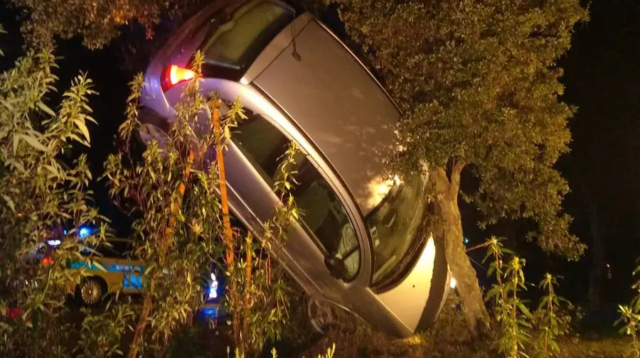 Ferido grave após despiste em Cabeça das Mós, Sardoal Ferido grave após despiste em Cabeça das Mós, Sardoal