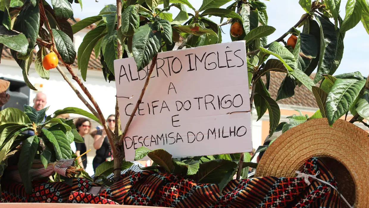 Festa dos Fazendeiros em Pontével