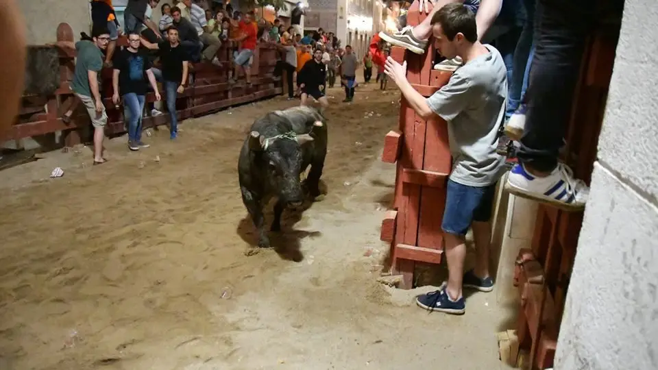 Feira de Maio na Azambuja - Imagens da festa
