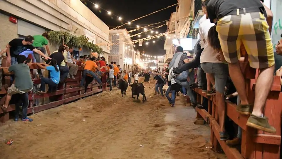 Feira de Maio na Azambuja - Imagens da festa