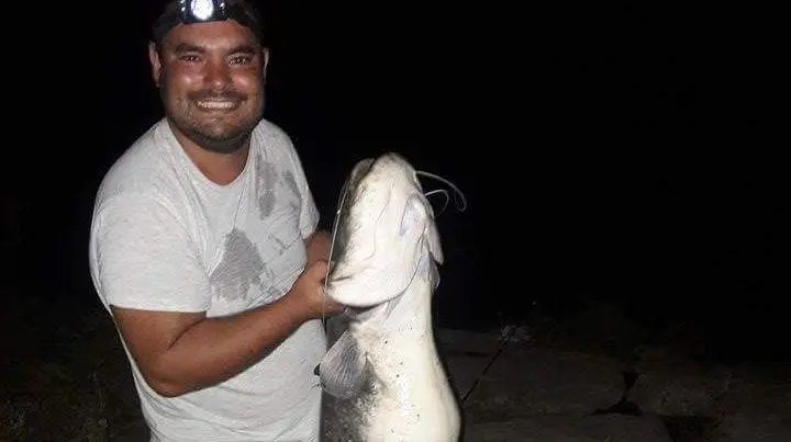 Siluro com 30 quilos apanhado no Tejo em Muge Siluro com 30 quilos apanhado no Tejo em Muge