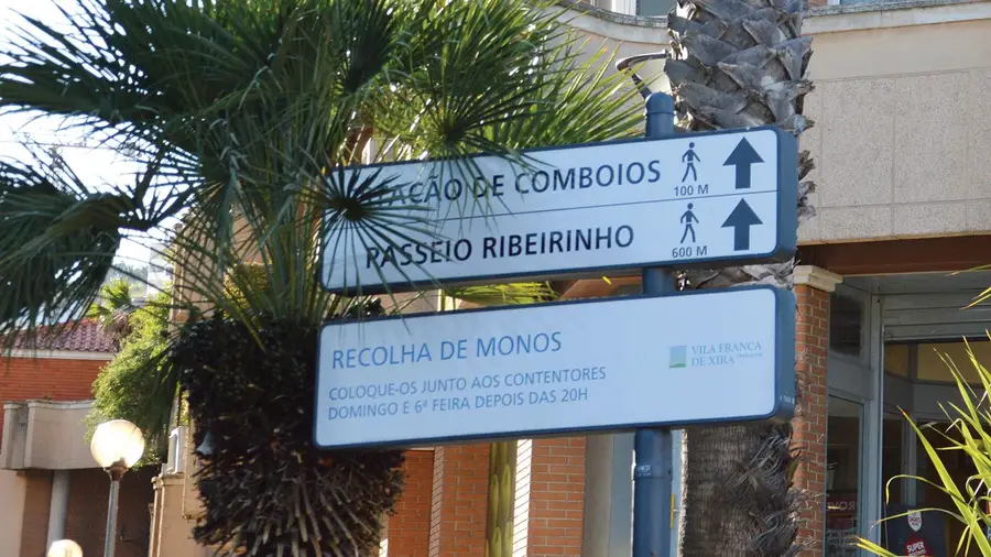 (des)Orientações (des)Orientações
