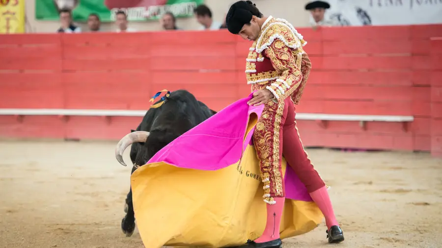 Manuel Dias Gomes quer brilhar na Corrida de O MIRANTE e do Emigrante em Tomar Manuel Dias Gomes quer brilhar na Corrida de O MIRANTE e do Emigrante em Tomar