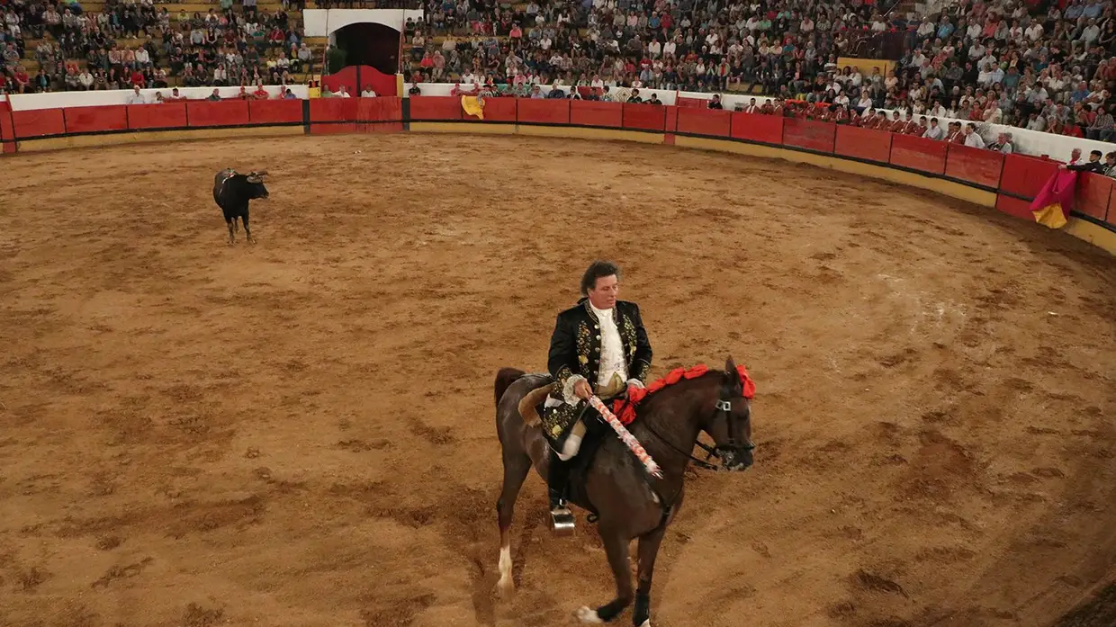 Galeria - Grande corrida de O MIRANTE e do emigrante em Tomar